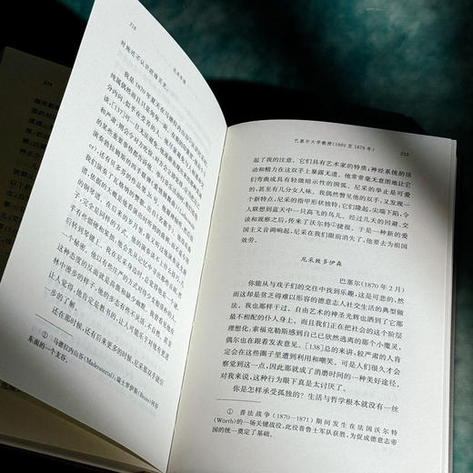 尼采年谱 自述、书信及他人记叙 尼采全集·注疏版 商品图10