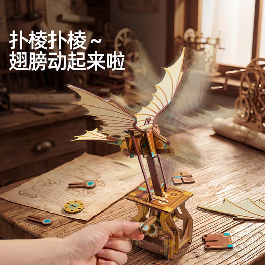【走进自然 探索物理】美乐童年达尔文&达芬奇实验套装 相框/书签/挂件/琥珀diy玩具 投石机/桨轮船/物理科学实验科技小制作 商品图7