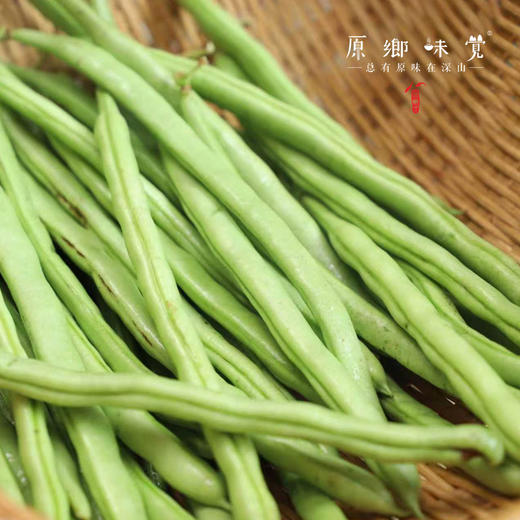 生态露天四季豆（农场直发-顺丰包邮）| 3斤装、5斤装，生产者：原乡生态农场【原乡农场，自产自销】 商品图8