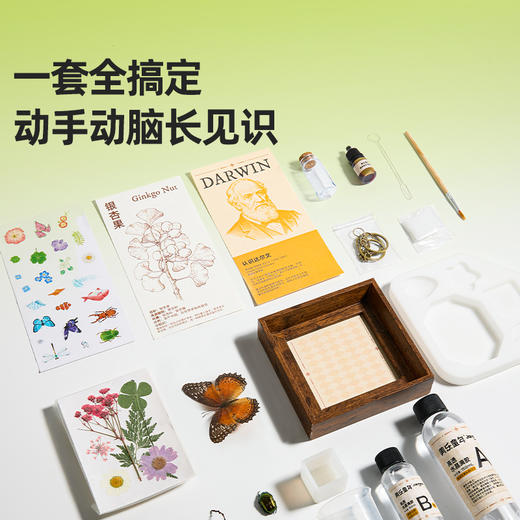 【走进自然 探索物理】美乐童年达尔文&达芬奇实验套装 相框/书签/挂件/琥珀diy玩具 投石机/桨轮船/物理科学实验科技小制作 商品图2