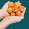 新鲜水果 果香浓郁 香甜可口新疆吊干杏 1斤/2斤 商品缩略图1
