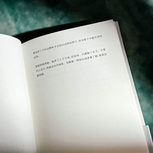 杜甫一生 艾略特·温伯格诗集 中英双语 杜甫一生的虚构自传 商品图6