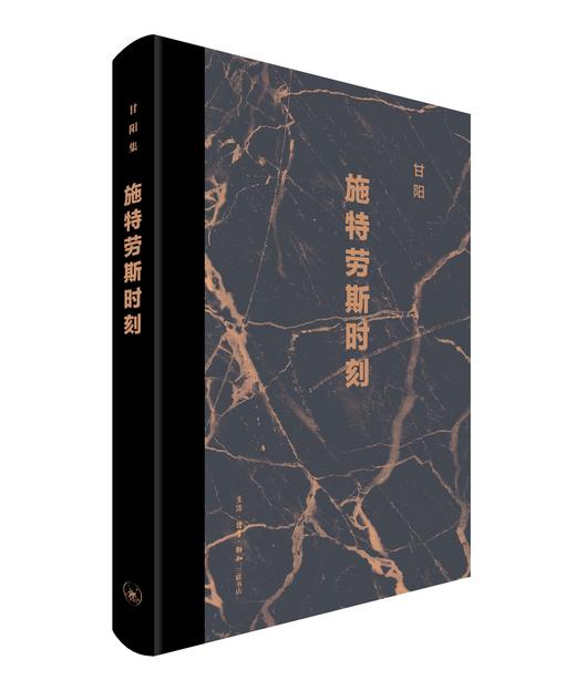 施特劳斯时刻 甘阳 著 三联书店 商品图1