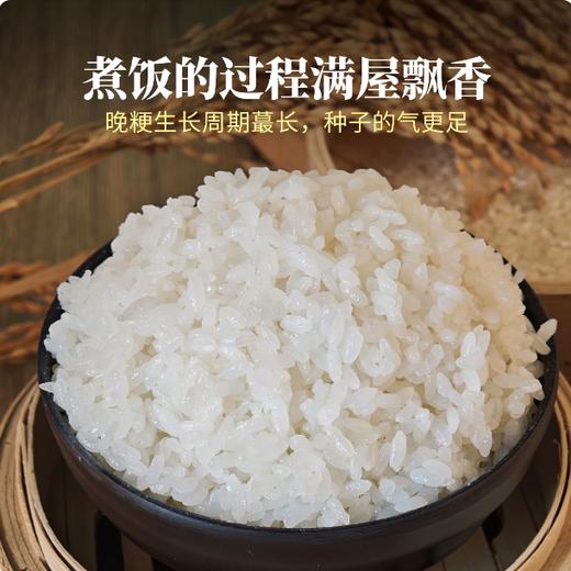【YMHR】泽恩大米25kg 商品图1