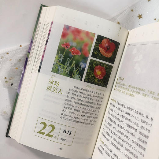 时光花事 商品图3