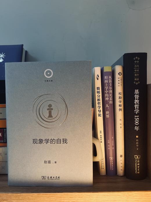 现象学的自我(日新文库) 商品图5