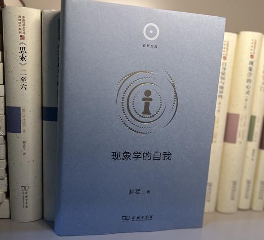 现象学的自我(日新文库) 商品图7