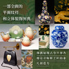 【明信片+花笺纸+藏书票定制版】世界经典纹样大全 阿梅莉亚卡尔弗著 V&A博物馆官方授权 装饰艺术 商品缩略图4