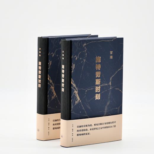 施特劳斯时刻 甘阳 著 三联书店 商品图4
