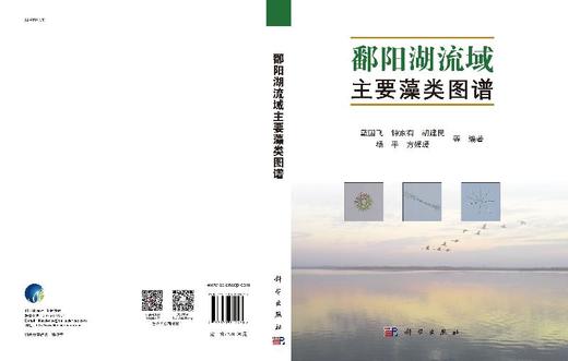[按需印刷]鄱阳湖流域主要藻类图谱 商品图3