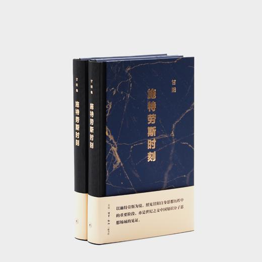 施特劳斯时刻 甘阳 著 三联书店 商品图7