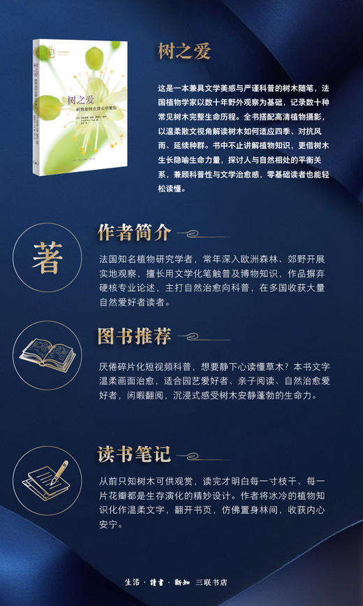 树之爱：植物如何在静止中繁衍  弗雷德里克·安杜 著 三联书店 商品图3