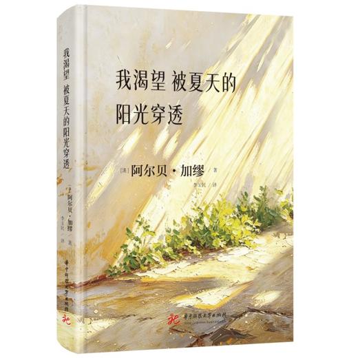 我渴望被夏天的阳光穿透  9787577228679  华中科技出版社 商品图1