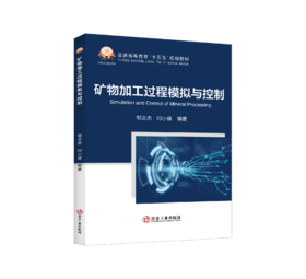 矿物加工过程模拟与控制（矿业工程）