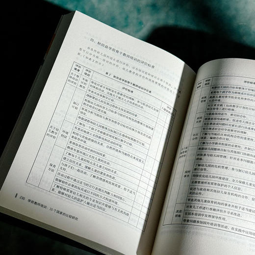 学前教师培训 15个国家的比较研究 大夏书系 幼儿教育 商品图13