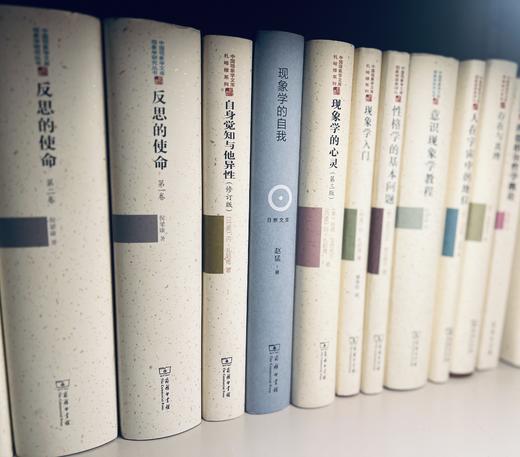 现象学的自我(日新文库) 商品图6