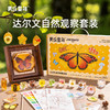 【走进自然 探索物理】美乐童年达尔文&达芬奇实验套装 相框/书签/挂件/琥珀diy玩具 投石机/桨轮船/物理科学实验科技小制作 商品缩略图0