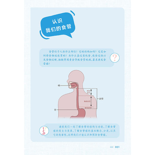 健康中国“我”行动癌症防治科普丛书：食管癌 李勇 防筛诊治康 5个环节呵护健康 31个食管癌防治 核心科普知识 人民卫生出版社 商品图4