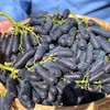 蓝宝石葡萄 清脆微酸无籽 果香浓郁 “月光之泪”“金手指提子 云南高原现摘现发 商品缩略图2