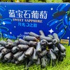蓝宝石葡萄 清脆微酸无籽 果香浓郁 “月光之泪”“金手指提子 云南高原现摘现发 商品缩略图1