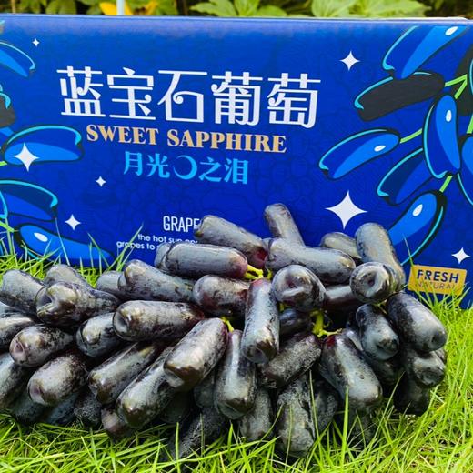 蓝宝石葡萄 清脆微酸无籽 果香浓郁 “月光之泪”“金手指提子 云南高原现摘现发 商品图1