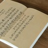 【特惠】《跟着恽寿平去写生》16开，平装，刘峥主编，故宫出版社2022年版，定价86，售价43元。 商品缩略图5