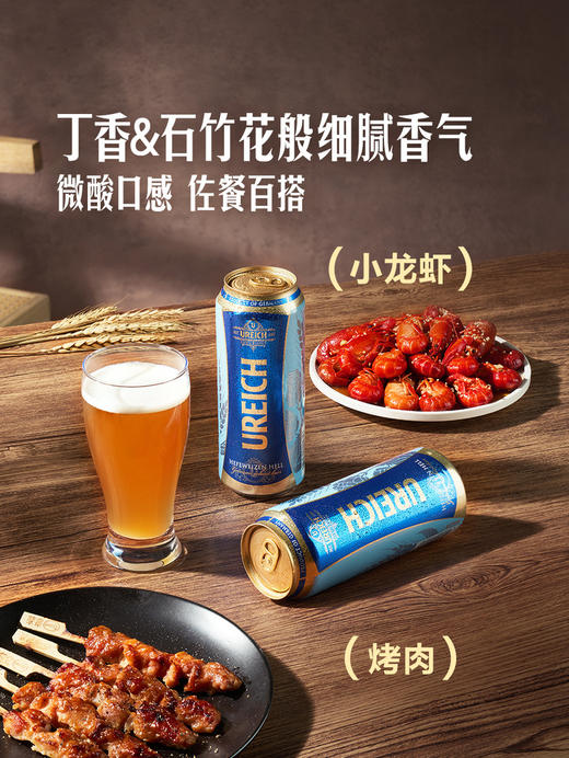 MM 山姆 Ureich德国进口 小麦啤酒 500ml*12/24罐 商品图5
