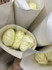 热卖国产维也纳菊盘龙菊5支 商品缩略图8