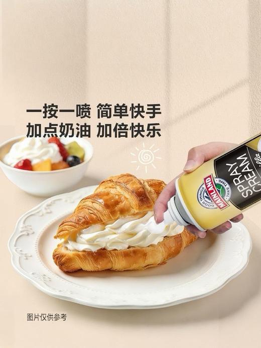MM 山姆 美兰 喷射稀奶油（香草风味）400g*1/2瓶 商品图2