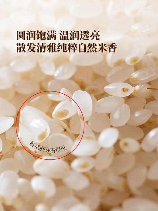 MM 山姆 Member's Mark 双90胚芽米 1.25kg*2/4 商品图3