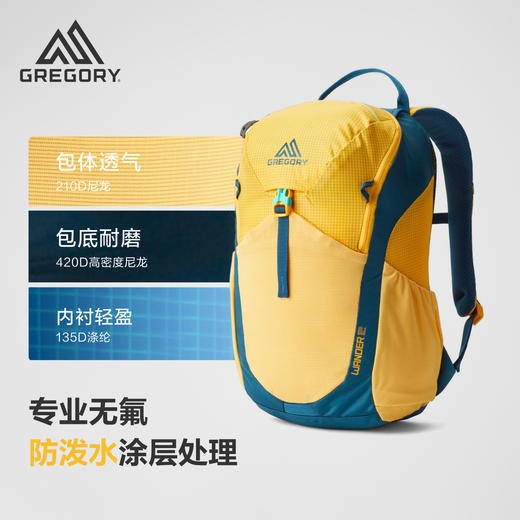 Gregory格里高利Wander玩童徒步背包12L小号儿童书包户外徒步52J 商品图4