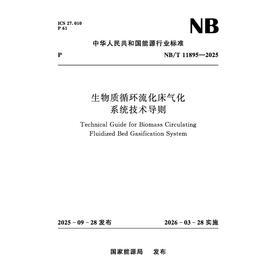 生物质循环流化床气化系统技术导则（NB/T 11895—2025）