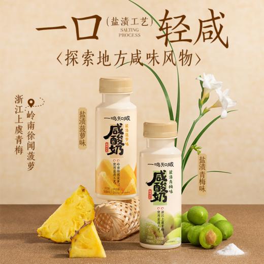 一鸣 低温咸酸奶（菠萝/青梅）200ml*10★ 商品图0
