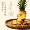 一鸣 低温咸酸奶（菠萝/青梅）200ml*10★ 商品缩略图2