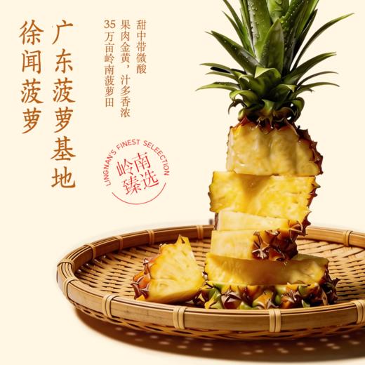 一鸣 低温咸酸奶（菠萝/青梅）200ml*10★ 商品图2