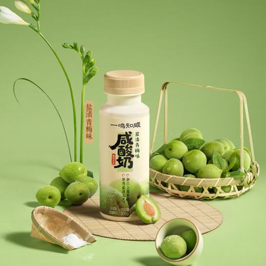 一鸣 低温咸酸奶（菠萝/青梅）200ml*10★ 商品图5