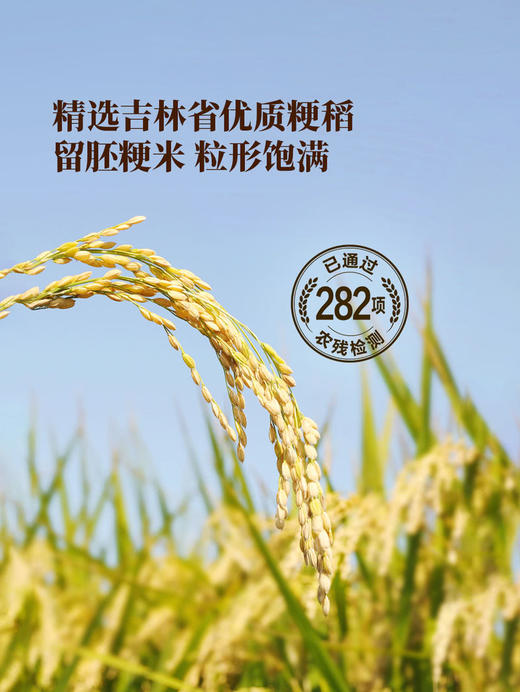 MM 山姆 Member's Mark 双90胚芽米 1.25kg*2/4 商品图4