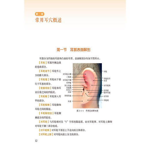 耳针临床图解 赵荣 邢利威 王祖红 针灸临床真人全彩图解 每一个章节都配以清晰的图解和案例分析9787521455175中国医药科技出版社 商品图4