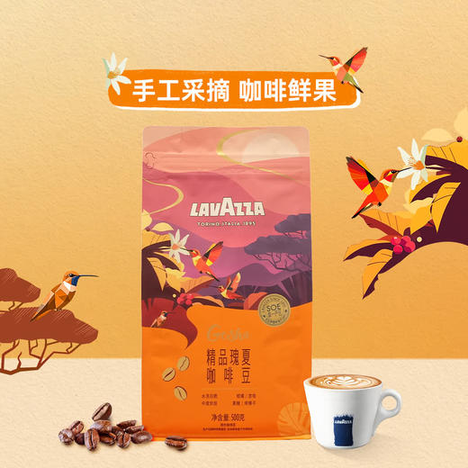 MM 山姆 Lavazza 拉瓦萨精品瑰夏咖啡豆 500g 商品图4