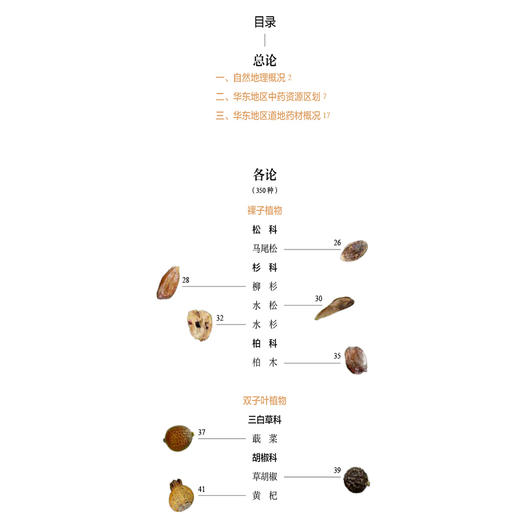 中药材种子原色图谱 华东卷 周良云 杨光 张振 主编 全国中药材种子原色图谱系列丛书 中药 图谱 9787521459074中国医药科技出版社 商品图3