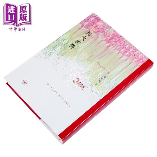 预售 【中商原版】灯火依旧 港台原版 徐扬生 香港三联书店 商品图2