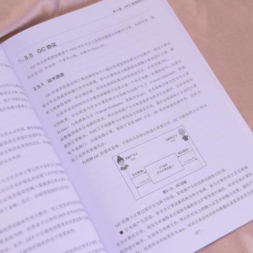 安全多方计算概论 天融信 MPC 人工智能 数据 安全模型 商品图2