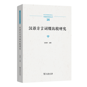 汉语方言词缀比较研究(中国语言学前沿丛书)