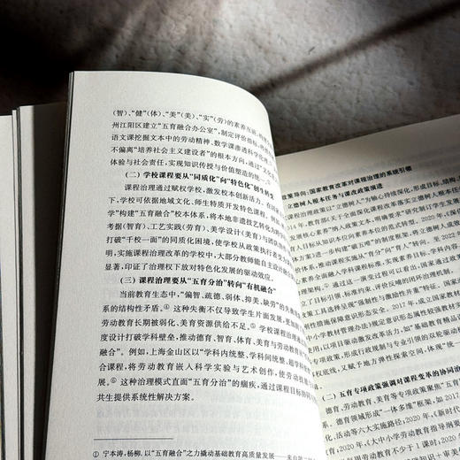 五育融合视域下学校治理变革的理论与实践 刘世清 五育融合研究丛书 商品图10