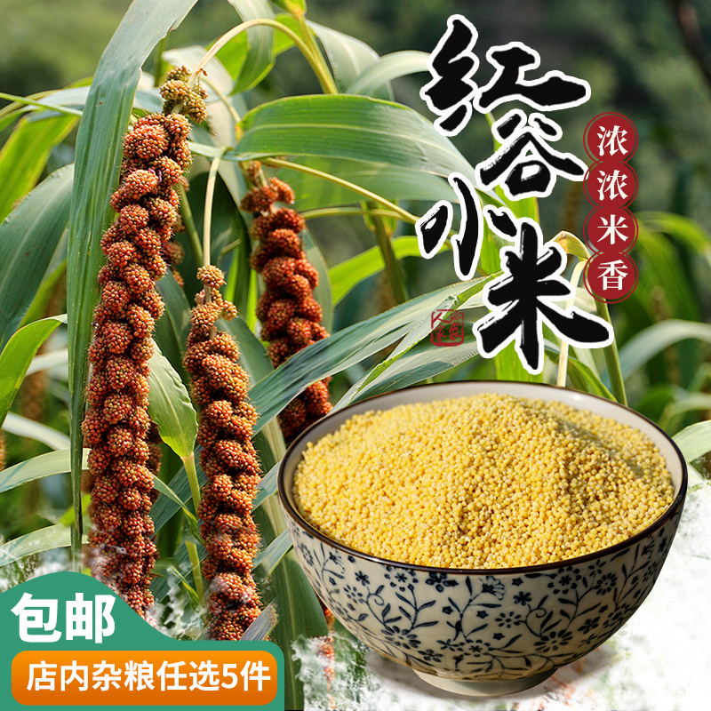 【密农特色 必买榜单】密农人家 杂粮 红谷小米山地种植厚厚米油  400g