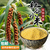 【密农特色 必买榜单】密农人家 杂粮 红谷小米山地种植厚厚米油  400g 商品缩略图0
