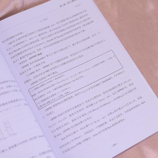 安全多方计算概论 天融信 MPC 人工智能 数据 安全模型 商品图3