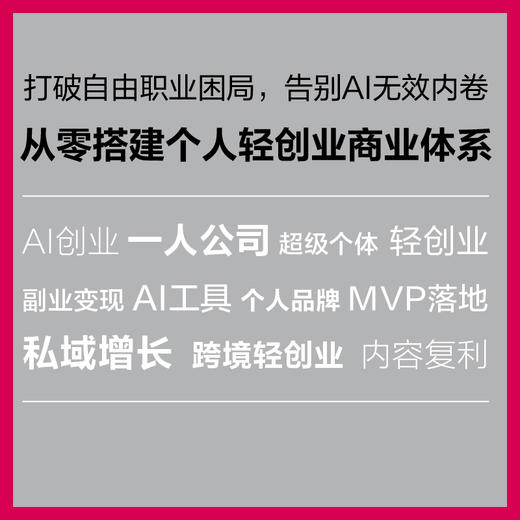 用AI玩转一人公司 张然冉主AI创业个体 单干 副业增收变现 打造个人IP 商品图1