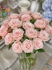 杏仁奶糖玫瑰【不必急着赶路，慢慢来，比较快】简小姐精选 杏仁奶糖玫瑰 10枝 2件顺丰冷链包邮 下单72小时发货 商品缩略图6
