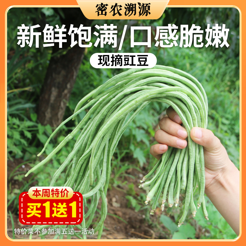 密云新鲜现摘农家豇豆400g  口感嫩滑  肉质肥厚  豆荚细长  豇豆角